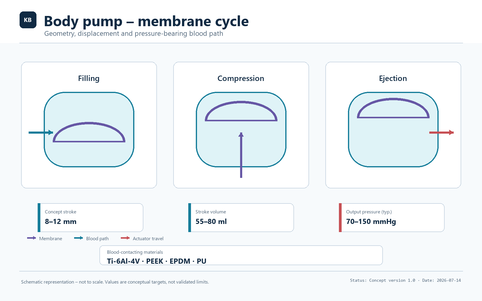 Systemic pump